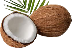 Cocos